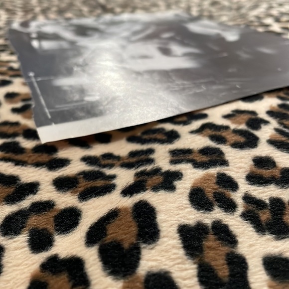 1993 JASON PRIESTLY Pepe Jeans 90s Magazine Paper Print Ad Beverly Hills 90210 - Picture 6 of 11